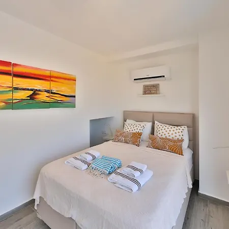 Appartement Penthouse Duplex 